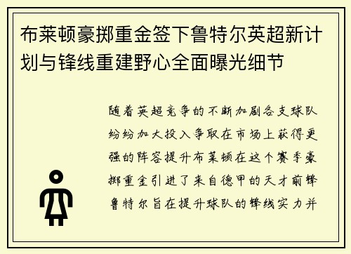 布莱顿豪掷重金签下鲁特尔英超新计划与锋线重建野心全面曝光细节